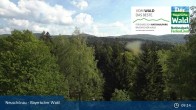 Archiv Foto Webcam Neuschönau - Besucherzentrum Nationalpark Bayerischer Wald 08:00