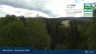 Archiv Foto Webcam Neuschönau - Besucherzentrum Nationalpark Bayerischer Wald 10:00