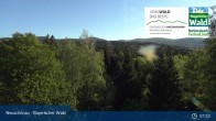 Archiv Foto Webcam Neuschönau - Besucherzentrum Nationalpark Bayerischer Wald 07:00