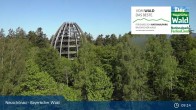 Archiv Foto Webcam Neuschönau - Besucherzentrum Nationalpark Bayerischer Wald 08:00