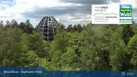 Archiv Foto Webcam Neuschönau - Besucherzentrum Nationalpark Bayerischer Wald 12:00