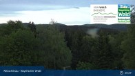 Archived image Webcam Neuschönau - Visitor center Lusen National Park 02:00