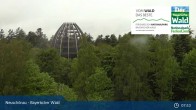 Archiv Foto Webcam Neuschönau - Besucherzentrum Nationalpark Bayerischer Wald 07:00