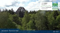Archiv Foto Webcam Neuschönau - Besucherzentrum Nationalpark Bayerischer Wald 14:00