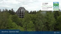 Archiv Foto Webcam Neuschönau - Besucherzentrum Nationalpark Bayerischer Wald 11:00