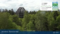 Archiv Foto Webcam Neuschönau - Besucherzentrum Nationalpark Bayerischer Wald 15:00