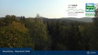 Archived image Webcam Neuschönau - Visitor center Lusen National Park 07:00