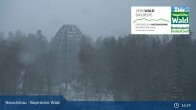 Archiv Foto Webcam Neuschönau - Besucherzentrum Nationalpark Bayerischer Wald 00:00