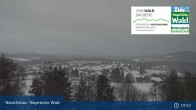 Archiv Foto Webcam Neuschönau - Besucherzentrum Nationalpark Bayerischer Wald 07:00