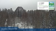 Archiv Foto Webcam Neuschönau - Besucherzentrum Nationalpark Bayerischer Wald 08:00