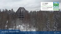 Archiv Foto Webcam Neuschönau - Besucherzentrum Nationalpark Bayerischer Wald 14:00