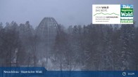 Archiv Foto Webcam Neuschönau - Besucherzentrum Nationalpark Bayerischer Wald 00:00