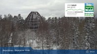 Archived image Webcam Neuschönau - Visitor center Lusen National Park 08:00