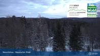 Archiv Foto Webcam Neuschönau - Besucherzentrum Nationalpark Bayerischer Wald 06:00