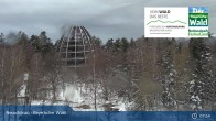 Archiv Foto Webcam Neuschönau - Besucherzentrum Nationalpark Bayerischer Wald 07:00