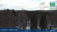 Archiv Foto Webcam Neuschönau - Besucherzentrum Nationalpark Bayerischer Wald 08:00