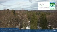 Archiv Foto Webcam Neuschönau - Besucherzentrum Nationalpark Bayerischer Wald 12:00