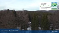 Archiv Foto Webcam Neuschönau - Besucherzentrum Nationalpark Bayerischer Wald 14:00