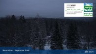 Archived image Webcam Neuschönau - Visitor center Lusen National Park 00:00