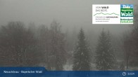 Archived image Webcam Neuschönau - Visitor center Lusen National Park 12:00