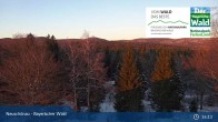 Archived image Webcam Neuschönau - Visitor center Lusen National Park 00:00