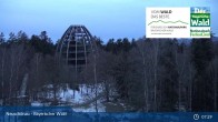 Archived image Webcam Neuschönau - Visitor center Lusen National Park 06:00