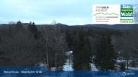 Archived image Webcam Neuschönau - Visitor center Lusen National Park 07:00