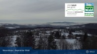 Archived image Webcam Neuschönau - Visitor center Lusen National Park 08:00