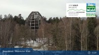 Archived image Webcam Neuschönau - Visitor center Lusen National Park 10:00