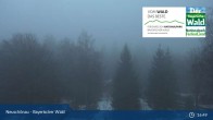 Archiv Foto Webcam Neuschönau - Besucherzentrum Nationalpark Bayerischer Wald 02:00