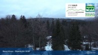 Archiv Foto Webcam Neuschönau - Besucherzentrum Nationalpark Bayerischer Wald 07:00