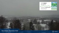 Archiv Foto Webcam Neuschönau - Besucherzentrum Nationalpark Bayerischer Wald 08:00