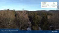 Archived image Webcam Neuschönau - Visitor center Lusen National Park 08:00