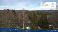 Archived image Webcam Neuschönau - Visitor center Lusen National Park 12:00