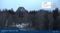 Archived image Webcam Neuschönau - Visitor center Lusen National Park 00:00