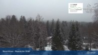 Archived image Webcam Neuschönau - Visitor center Lusen National Park 08:00