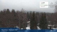 Archived image Webcam Neuschönau - Visitor center Lusen National Park 10:00