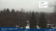 Archived image Webcam Neuschönau - Visitor center Lusen National Park 12:00