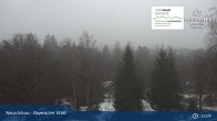 Archived image Webcam Neuschönau - Visitor center Lusen National Park 14:00