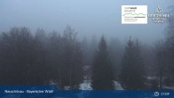 Archived image Webcam Neuschönau - Visitor center Lusen National Park 16:00