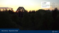 Archiv Foto Webcam Neuschönau - Besucherzentrum Nationalpark Bayerischer Wald 02:00