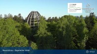 Archived image Webcam Neuschönau - Visitor center Lusen National Park 06:00