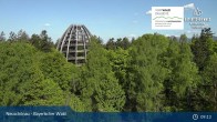 Archiv Foto Webcam Neuschönau - Besucherzentrum Nationalpark Bayerischer Wald 08:00