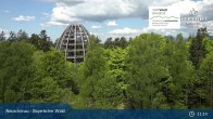 Archiv Foto Webcam Neuschönau - Besucherzentrum Nationalpark Bayerischer Wald 10:00