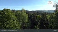Archiv Foto Webcam Neuschönau - Besucherzentrum Nationalpark Bayerischer Wald 07:00