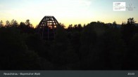 Archiv Foto Webcam Neuschönau - Besucherzentrum Nationalpark Bayerischer Wald 20:00