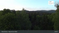 Archiv Foto Webcam Neuschönau - Besucherzentrum Nationalpark Bayerischer Wald 00:00