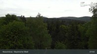 Archiv Foto Webcam Neuschönau - Besucherzentrum Nationalpark Bayerischer Wald 07:00