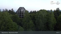 Archived image Webcam Neuschönau - Visitor center Lusen National Park 04:00