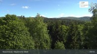 Archiv Foto Webcam Neuschönau - Besucherzentrum Nationalpark Bayerischer Wald 08:00